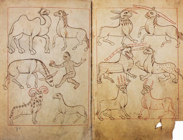 Reiner Musterbuch  - Asta Libri, Autografi e Stampe - Associazione Nazionale - Case d'Asta italiane