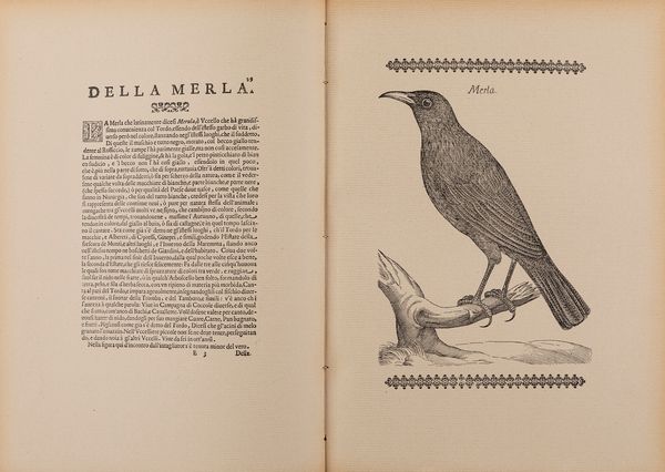 Uccelliera ovvero discorso della natura  - Asta Libri, Autografi e Stampe - Associazione Nazionale - Case d'Asta italiane