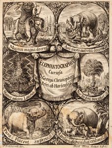 Goetchebuer Petrus Jacobus : Elephantographia curiosa seu Elephanti Descriptio  - Asta Libri, Autografi e Stampe - Associazione Nazionale - Case d'Asta italiane