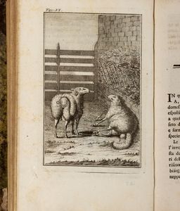 Louis Jean Marie Daubenton : Instruzione per pastori e propietarj di gregge; per ben allevar pecore, custodirle, condurle, pascerle...  - Asta Libri, Autografi e Stampe - Associazione Nazionale - Case d'Asta italiane
