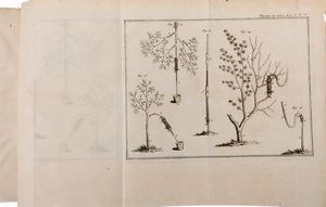 Henri Louis Duhamel du Monceau - La Physique des Arbres; où il est traité de l'Anatomie des Plantes et de l'Economie vegetale