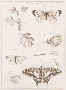 Réaumur, Réné-Antoine Ferchault de - Memoires pour servir a l'histoire des insectes ... Tome premier ... Sixieme