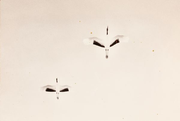 Masao Yamamoto : Nakazora  - Asta Fotografia - Associazione Nazionale - Case d'Asta italiane