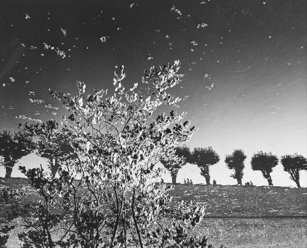 Mimmo Jodice : Sully Sur La Loire  - Asta Fotografia - Associazione Nazionale - Case d'Asta italiane