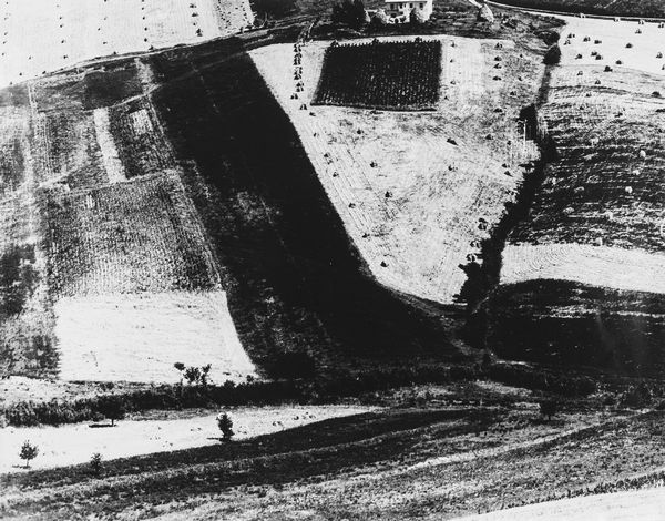 Mario Giacomelli : La nostra terra  - Asta Fotografia - Associazione Nazionale - Case d'Asta italiane