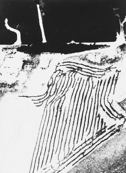 Mario Giacomelli : Presa di coscienza sulla natura  - Asta Fotografia - Associazione Nazionale - Case d'Asta italiane