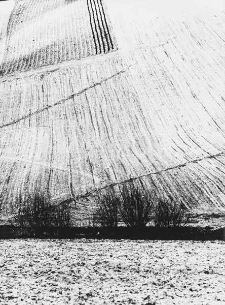 Mario Giacomelli : Presa di coscienza sulla natura  - Asta Fotografia - Associazione Nazionale - Case d'Asta italiane