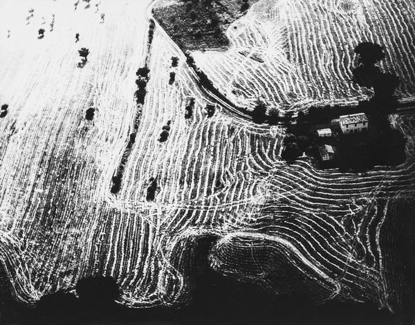 Mario Giacomelli : Presa di coscienza sulla natura  - Asta Fotografia - Associazione Nazionale - Case d'Asta italiane