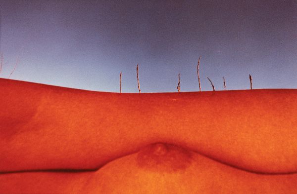 Franco Fontana : Senza titolo (Nudo)  - Asta Fotografia - Associazione Nazionale - Case d'Asta italiane