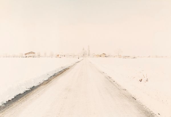 Luigi Ghirri : Campagna Modenese  - Asta Fotografia - Associazione Nazionale - Case d'Asta italiane