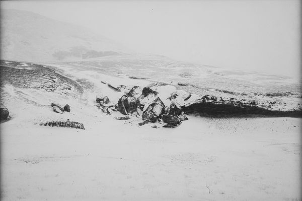 Olafur Eliasson : Senza titolo  - Asta Fotografia - Associazione Nazionale - Case d'Asta italiane