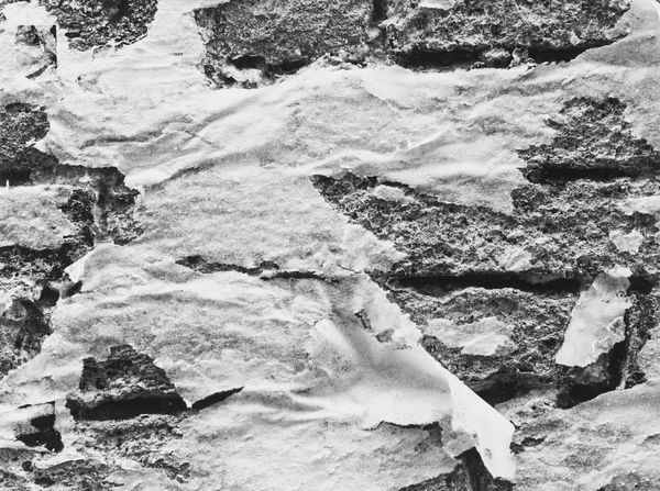 Ferruccio Ferroni : La sposa fuggita  - Asta Fotografia - Associazione Nazionale - Case d'Asta italiane