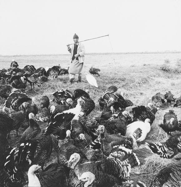 ANTANAS SUTKUS : The world's oldest profession dalla serie Meetings with Bulgaria  - Asta Fotografia - Associazione Nazionale - Case d'Asta italiane