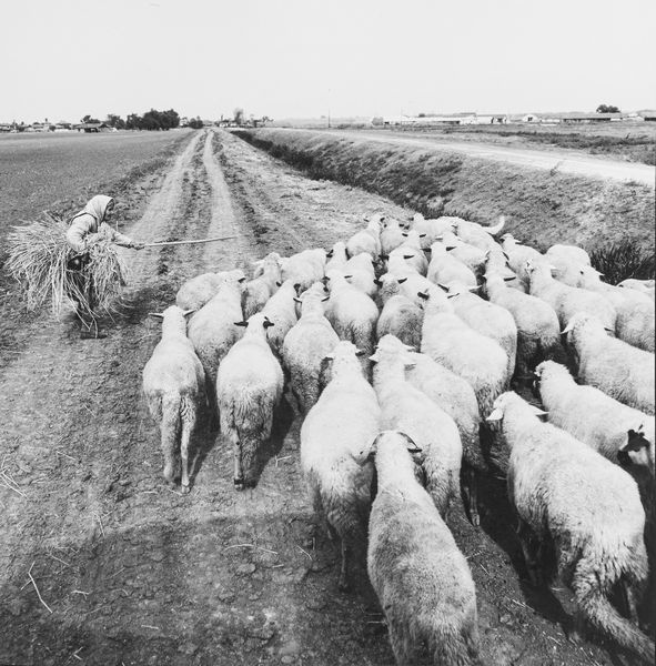 ANTANAS SUTKUS : Dalla serie Meetings with Bulgaria  - Asta Fotografia - Associazione Nazionale - Case d'Asta italiane