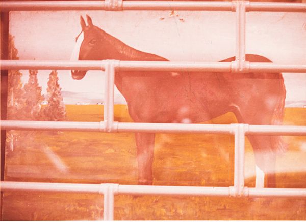 Luigi Ghirri : Reggio Emilia, dalla serie Kodachrome  - Asta Fotografia - Associazione Nazionale - Case d'Asta italiane