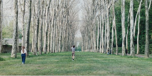 Luigi Ghirri : Versailles  - Asta Fotografia - Associazione Nazionale - Case d'Asta italiane