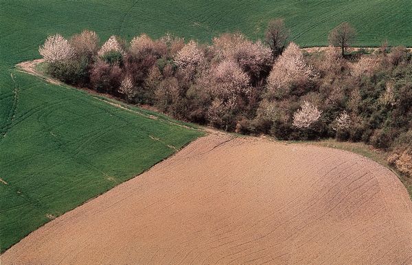 Franco Fontana : Landscape  - Asta Fotografia - Associazione Nazionale - Case d'Asta italiane