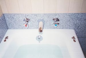 NOBUYOSHI ARAKI : Senza titolo  - Asta Fotografia - Associazione Nazionale - Case d'Asta italiane