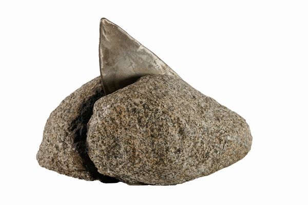 Eduard Habicher : Senza titolo  - Asta Arte Moderna e Contemporanea - Associazione Nazionale - Case d'Asta italiane