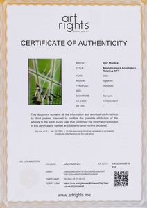 Igor (MIG) Macera NFT : Aerodinamica Acrobatica Relativa  - Asta Arte Moderna e Contemporanea - Associazione Nazionale - Case d'Asta italiane