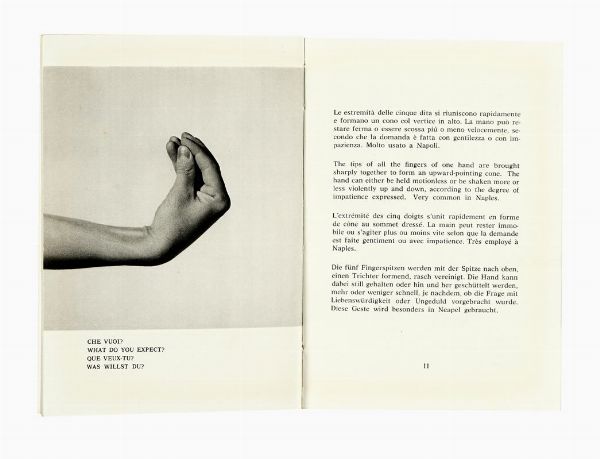 BRUNO MUNARI : Supplemento al dizionario italiano.  - Asta Libri, autografi e manoscritti - Associazione Nazionale - Case d'Asta italiane