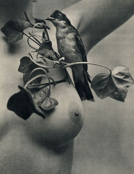 11 numeri della rivista Les beauts de Paris et de Hollywood e 12 di Folies de Paris et de Hollywood.  - Asta Libri, autografi e manoscritti - Associazione Nazionale - Case d'Asta italiane