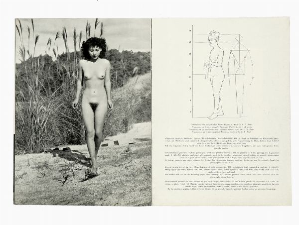 Lotto di 12 numeri di Modles Acadmiques Internationaux (Internationale Modellstudien).  - Asta Libri, autografi e manoscritti - Associazione Nazionale - Case d'Asta italiane