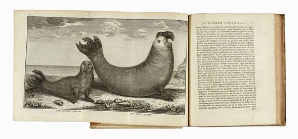 CRISTOBAL (DE) ACUA : Relation de la riviere des Amazones traduite [...] Sur l'original espagnol [...]  Tome premier (-II).  - Asta Libri, autografi e manoscritti - Associazione Nazionale - Case d'Asta italiane