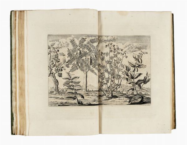 OLFERT DAPPER : Description de l'Afrique, contenant Les Noms, la Situation et les Confins de toutes ses Parties...  - Asta Libri, autografi e manoscritti - Associazione Nazionale - Case d'Asta italiane