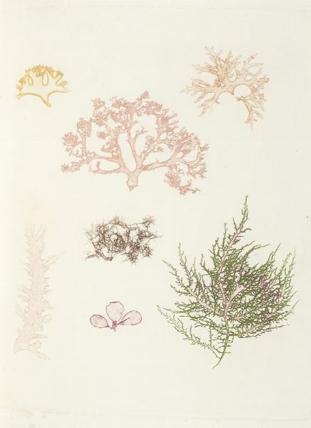 Faust. Poligrafisch-illustrirte Zeitschrift fur Kunst, Wissenschaft, Industrie und geselliges Leben...  - Asta Libri, autografi e manoscritti - Associazione Nazionale - Case d'Asta italiane