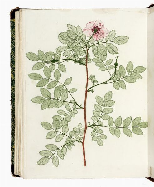 Faust. Poligrafisch-illustrirte Zeitschrift fur Kunst, Wissenschaft, Industrie und geselliges Leben...  - Asta Libri, autografi e manoscritti - Associazione Nazionale - Case d'Asta italiane