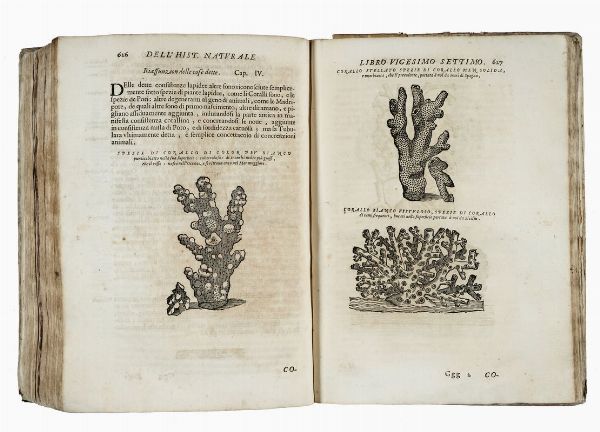 FERRANTE IMPERATO : [Historia naturale [...] Nella quale ordinatamente si tratta della diversa condition di minere, pietre pretiose, & altre curiosit].  - Asta Libri, autografi e manoscritti - Associazione Nazionale - Case d'Asta italiane