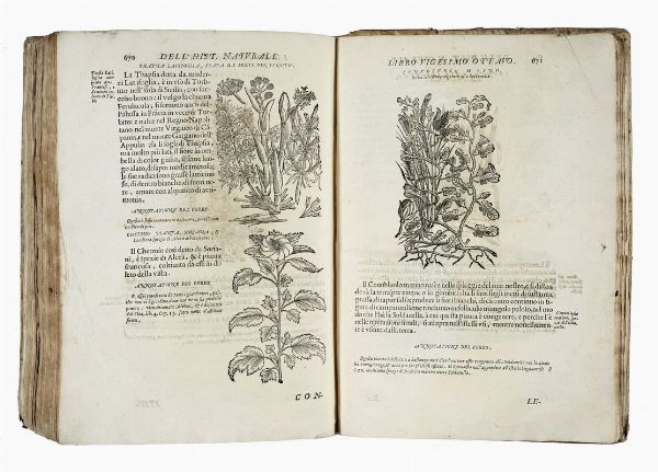 FERRANTE IMPERATO : [Historia naturale [...] Nella quale ordinatamente si tratta della diversa condition di minere, pietre pretiose, & altre curiosit].  - Asta Libri, autografi e manoscritti - Associazione Nazionale - Case d'Asta italiane