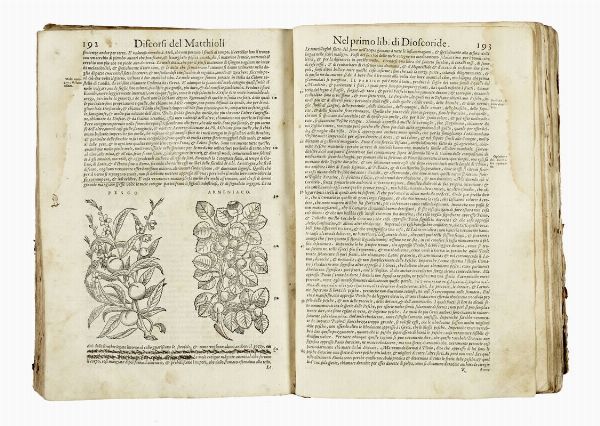 PIETRO ANDREA MATTIOLI : [I discorsi [...] ne i sei libri della materia medicinale di Pedacio Dioscoride Anazarbeo [...]. Con le Figure tirate dalle naturali, & vive piante, & Animali, in numero molto maggiore...].  - Asta Libri, autografi e manoscritti - Associazione Nazionale - Case d'Asta italiane