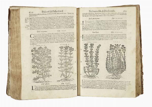 PIETRO ANDREA MATTIOLI : [I discorsi [...] ne i sei libri della materia medicinale di Pedacio Dioscoride Anazarbeo [...]. Con le Figure tirate dalle naturali, & vive piante, & Animali, in numero molto maggiore...].  - Asta Libri, autografi e manoscritti - Associazione Nazionale - Case d'Asta italiane