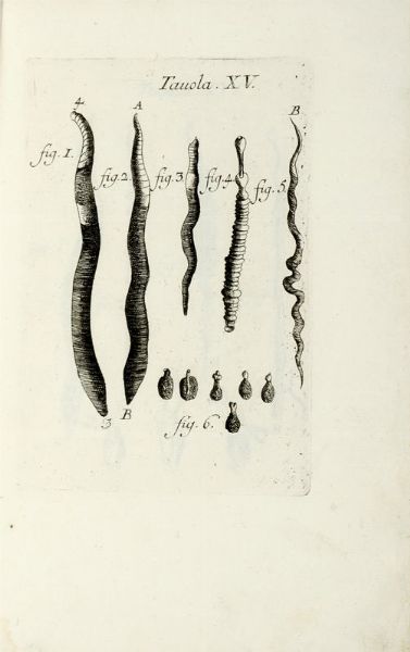 FRANCESCO REDI : Opere... Tomo primo (-settimo).  - Asta Libri, autografi e manoscritti - Associazione Nazionale - Case d'Asta italiane