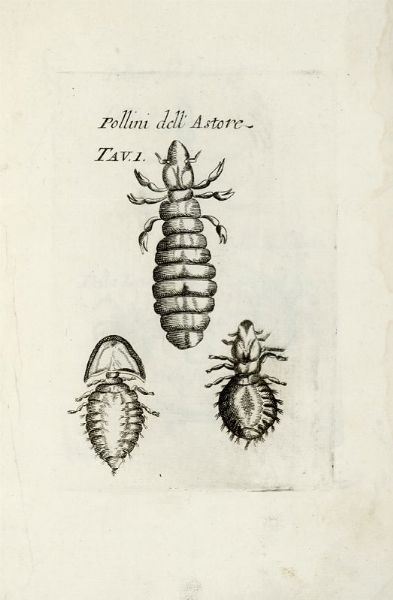 FRANCESCO REDI : Opere... Tomo primo (-settimo).  - Asta Libri, autografi e manoscritti - Associazione Nazionale - Case d'Asta italiane