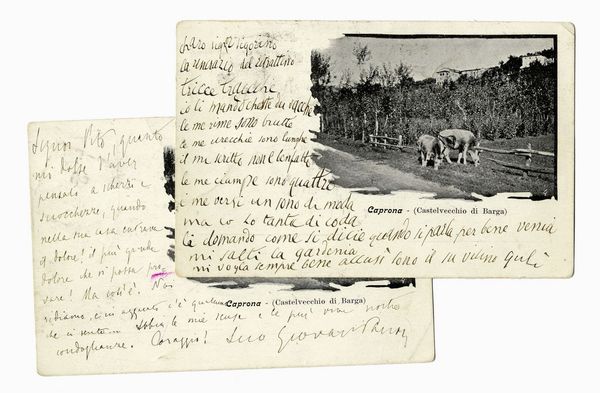Giovanni Pascoli : 1 curiosa cartolina autografa di Pascoli firmata Gul, il cane del poeta.  - Asta Libri, autografi e manoscritti - Associazione Nazionale - Case d'Asta italiane