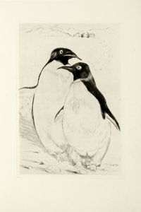 ANATOLE FRANCE : L'le des pingouins. Illustr par Louis Jou.  - Asta Libri, autografi e manoscritti - Associazione Nazionale - Case d'Asta italiane