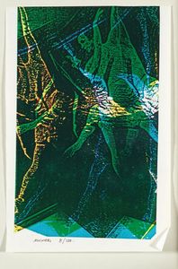 BRUNO MUNARI - Fotocronache.