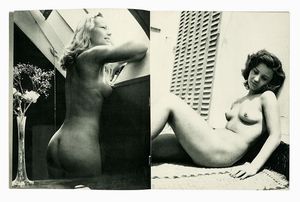 ANDR STEINER : 7 numeri della rivista Nus, in prima edizione.  - Asta Libri, autografi e manoscritti - Associazione Nazionale - Case d'Asta italiane