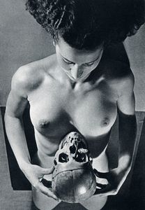 ANDR (DE) DIENES : 7 numeri della rivista Nus. [Album 1-7].  - Asta Libri, autografi e manoscritti - Associazione Nazionale - Case d'Asta italiane