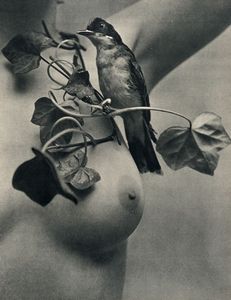 11 numeri della rivista Les beauts de Paris et de Hollywood e 12 di Folies de Paris et de Hollywood.  - Asta Libri, autografi e manoscritti - Associazione Nazionale - Case d'Asta italiane