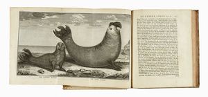 CRISTOBAL (DE) ACUA : Relation de la riviere des Amazones traduite [...] Sur l'original espagnol [...]  Tome premier (-II).  - Asta Libri, autografi e manoscritti - Associazione Nazionale - Case d'Asta italiane