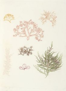 Faust. Poligrafisch-illustrirte Zeitschrift fur Kunst, Wissenschaft, Industrie und geselliges Leben...  - Asta Libri, autografi e manoscritti - Associazione Nazionale - Case d'Asta italiane