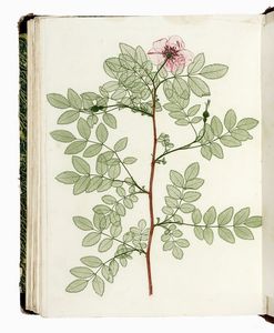 Faust. Poligrafisch-illustrirte Zeitschrift fur Kunst, Wissenschaft, Industrie und geselliges Leben...  - Asta Libri, autografi e manoscritti - Associazione Nazionale - Case d'Asta italiane