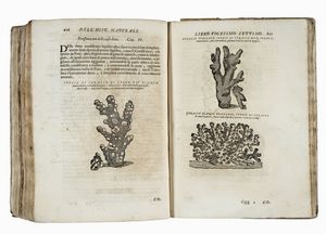 FERRANTE IMPERATO : [Historia naturale [...] Nella quale ordinatamente si tratta della diversa condition di minere, pietre pretiose, & altre curiosit].  - Asta Libri, autografi e manoscritti - Associazione Nazionale - Case d'Asta italiane
