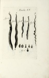 FRANCESCO REDI : Opere... Tomo primo (-settimo).  - Asta Libri, autografi e manoscritti - Associazione Nazionale - Case d'Asta italiane