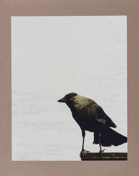 MICHELANGELO PISTOLETTO : Cartella A  - Asta Libri d'Artista e Cataloghi d'Arte - Associazione Nazionale - Case d'Asta italiane