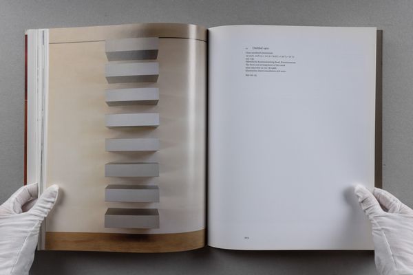 Donald Judd : Donald Judd  - Asta Libri d'Artista e Cataloghi d'Arte - Associazione Nazionale - Case d'Asta italiane